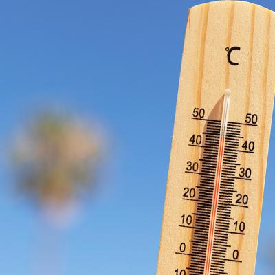 ALERTE JAUNE CANICULE